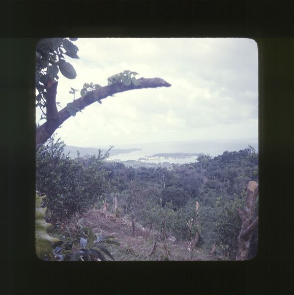 scan0017.jpg