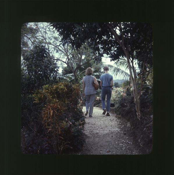 scan0018.jpg