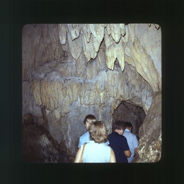 scan0021.jpg