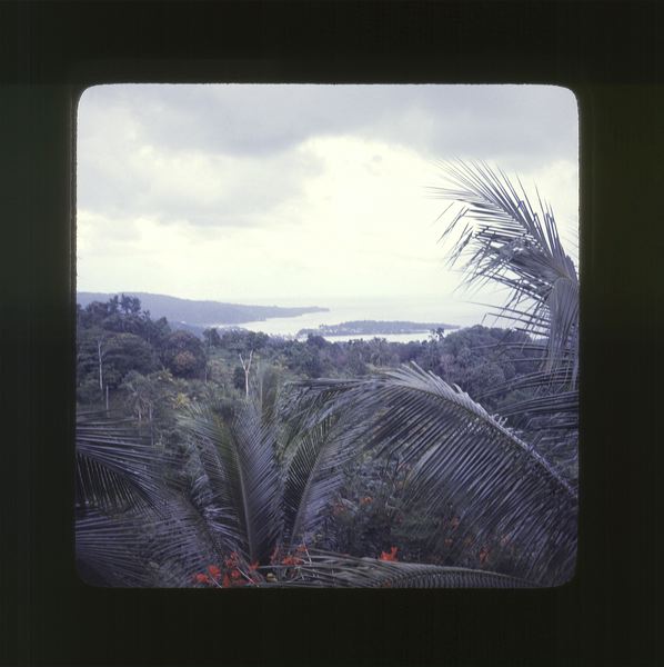 scan0024.jpg