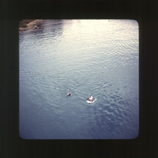 scan0044.jpg