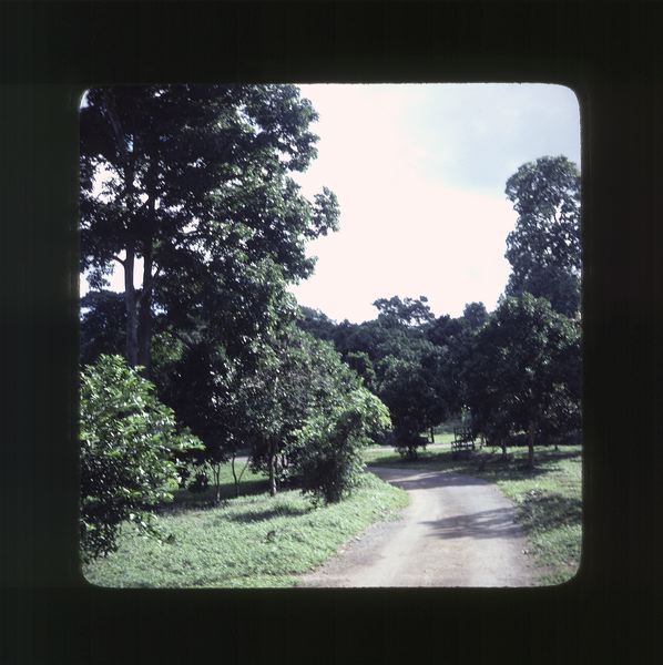 scan0055.jpg