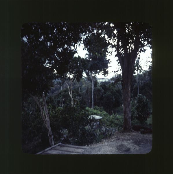 scan0059.jpg