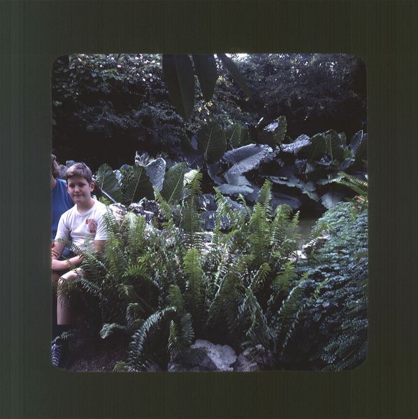 scan0060.jpg