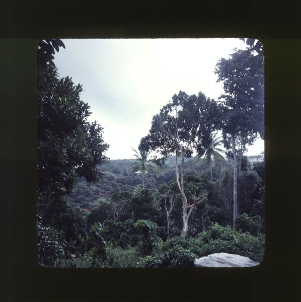 scan0061.jpg