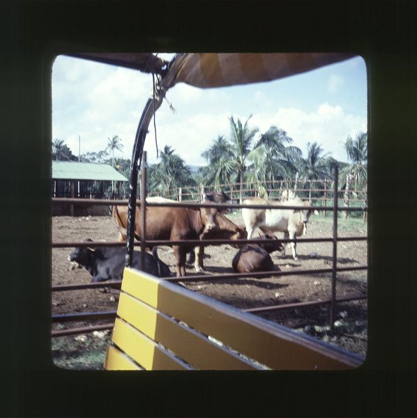 scan0062.jpg