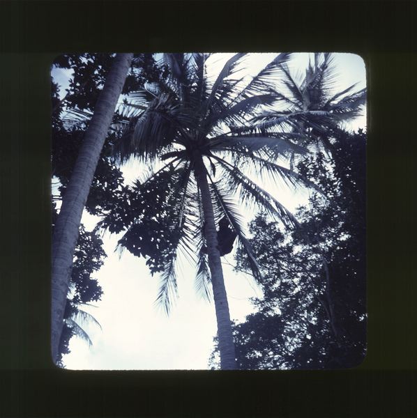 scan0063.jpg