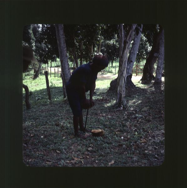 scan0064.jpg