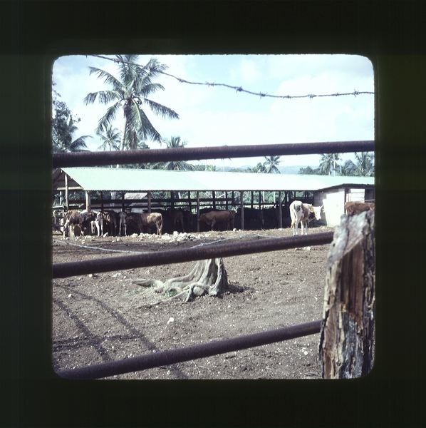 scan0066.jpg