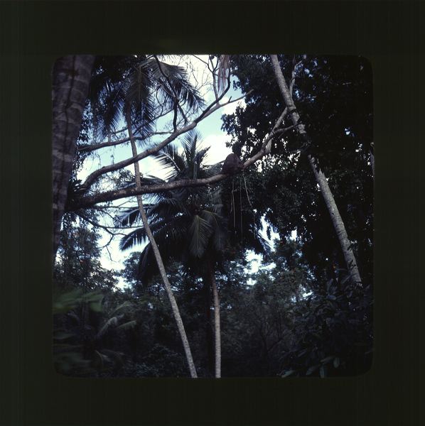 scan0067.jpg