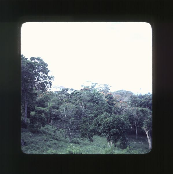 scan0071.jpg