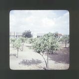 scan0017