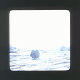 scan0023