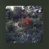 scan0044