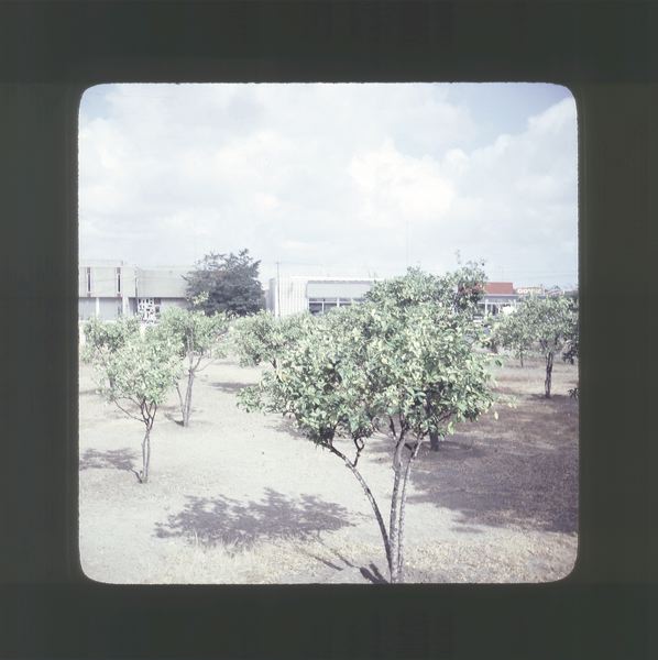 scan0017.jpg