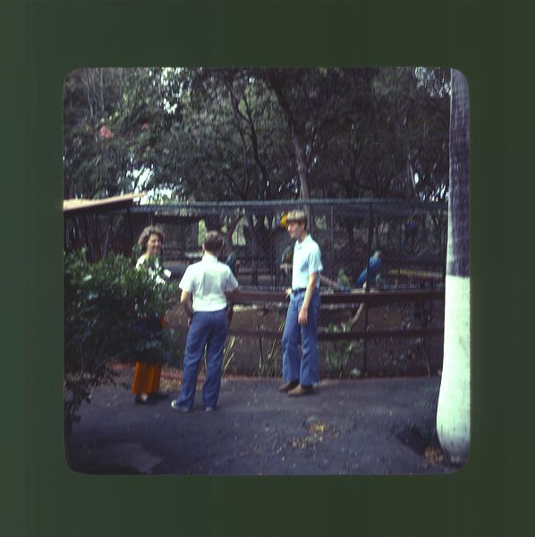 scan0019.jpg