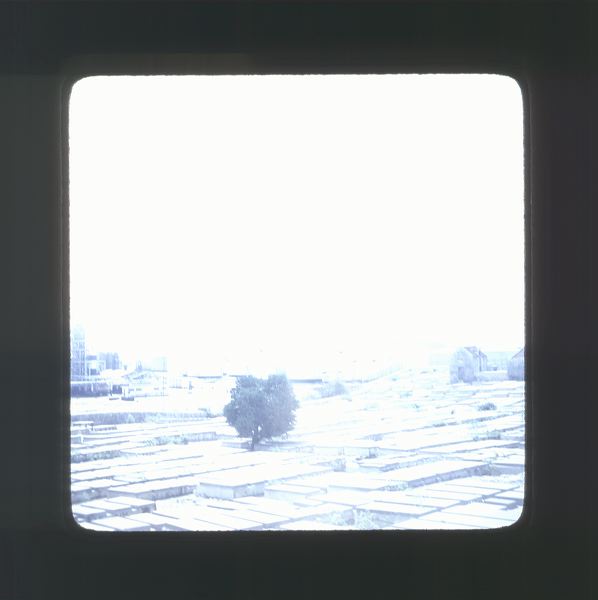 scan0023.jpg