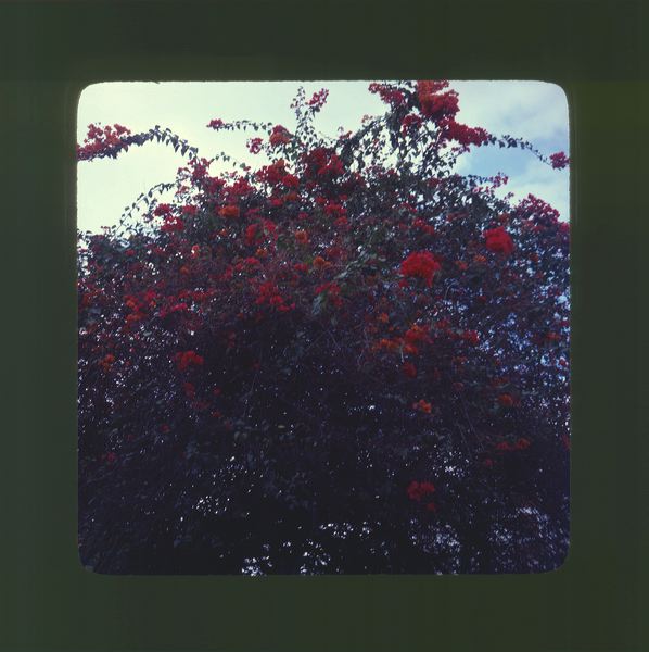 scan0045.jpg