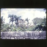 scan-120531-0002
