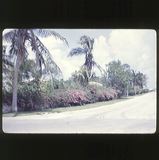 scan-120531-0003