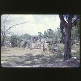 scan-120531-0007