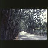 scan-120531-0010