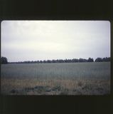 scan-120531-0018