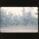 scan-120531-0019