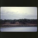 scan-120531-0020