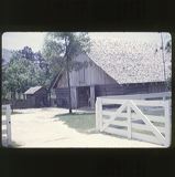 scan-120601-0011
