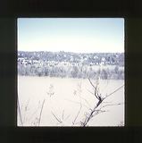 scan-120601-0021