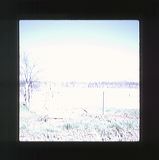 scan-120601-0033