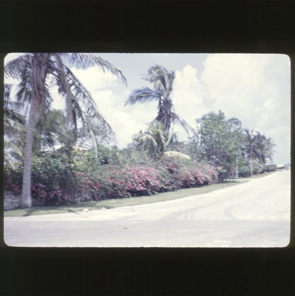scan-120531-0003.jpg