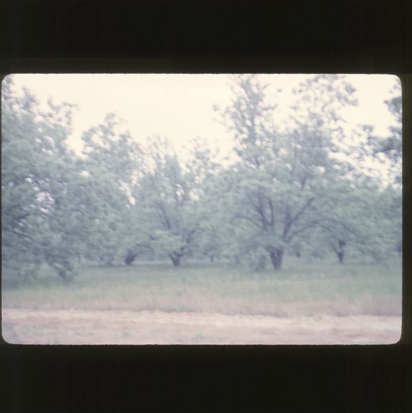 scan-120531-0019.jpg