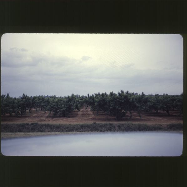 scan-120531-0020.jpg