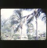 scan-120601-0008