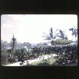 scan-120601-0009