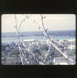 scan-120601-0021