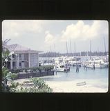 scan-120601-0028