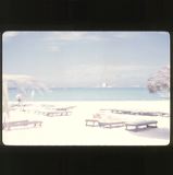 scan-120601-0032