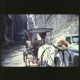 scan-120601-0039