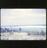 scan-120601-0041