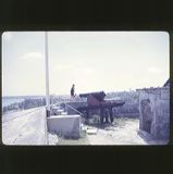 scan-120601-0044