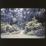 scan-120601-0056