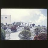 scan-120601-0071