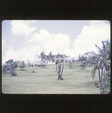 scan-120601-0074