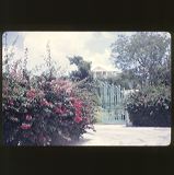 scan-120601-0075