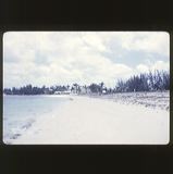 scan-120601-0078
