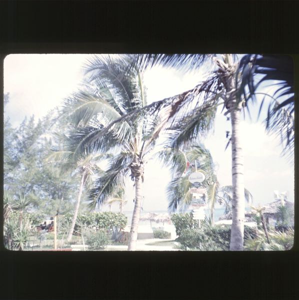 scan-120601-0008.jpg