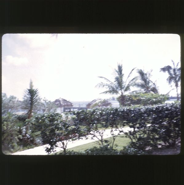 scan-120601-0009.jpg